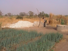 DSC00017